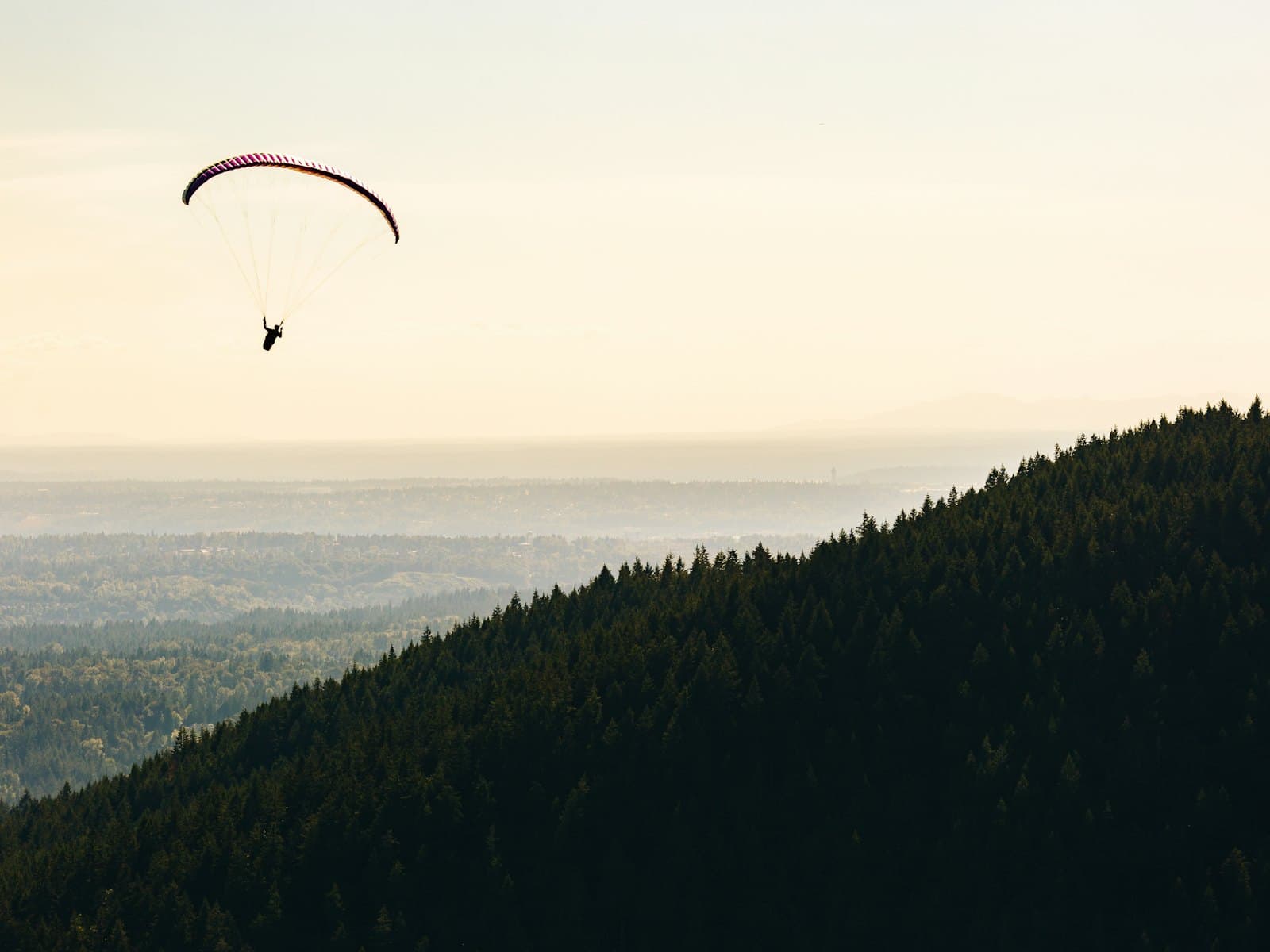 A paraglider drifting over a forested ridge in golden light