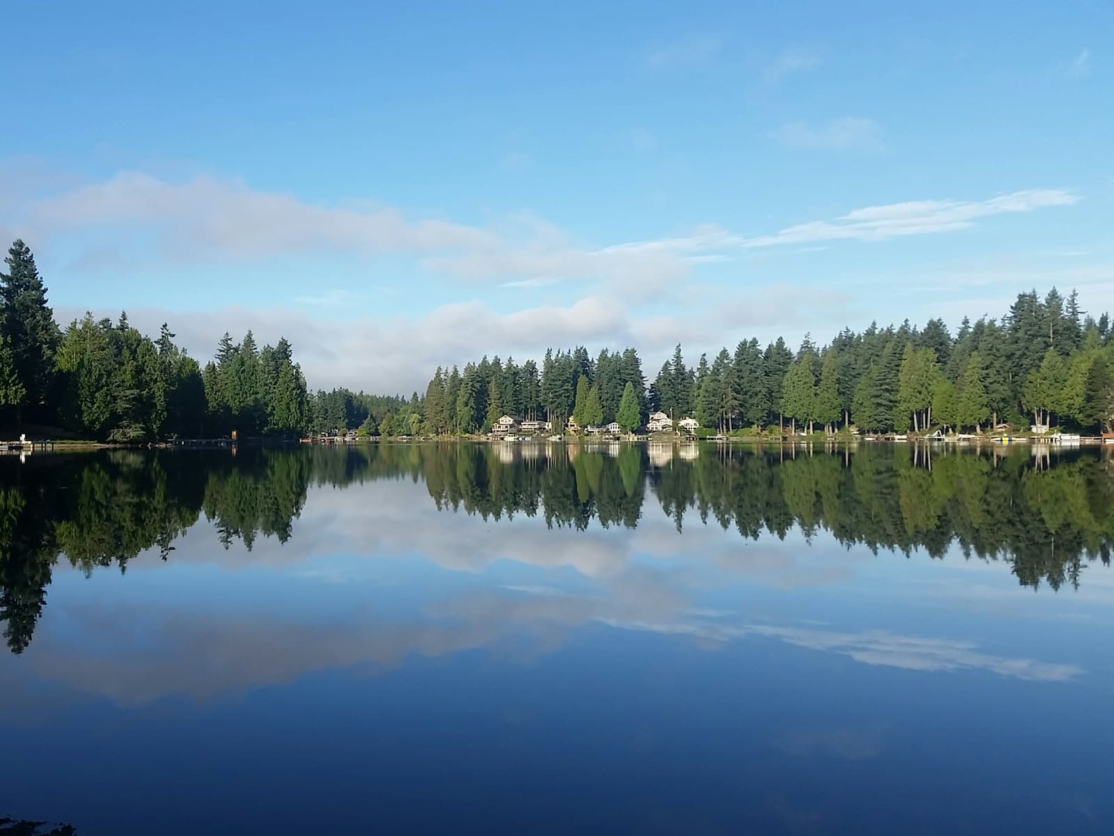 A still lake reflecting a line of tall evergreens under a blue sky